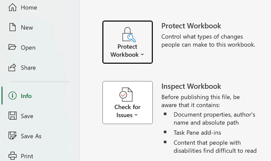 Protect Workbook option under File Info menu